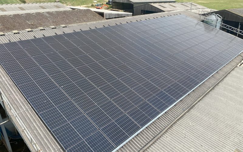 Royal Oak Solar Roof